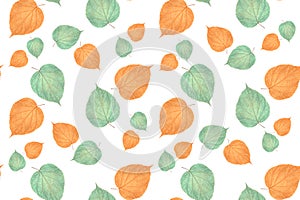 Pastel color linden leaves on white background, seamless pattern. Design for fabric, wallpaper, wrapping paper