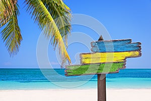 Pastel colored direction signs, beach and palm tree background