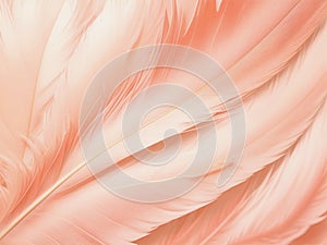 Pastel colored feathers in a close up view