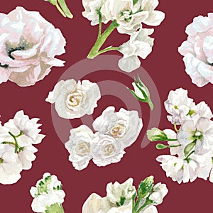 Pastel colors, floral pattern, white roses isolated on burgundy background.