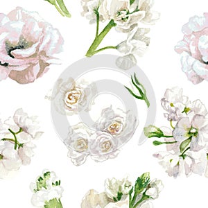 Pastel colors, floral pattern, white roses isolated on white background.