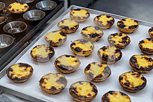 Pastel de Nata photo