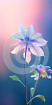 Vibrant Floral Mobile Wallpaper With Elegant Columbine photo