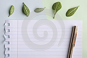 Pastel green blue background with lined paper, pen and green leaves.