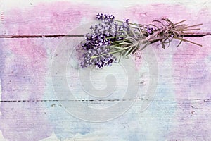 Pastel lavender background