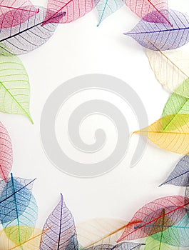 Pastel leaves frame on white background