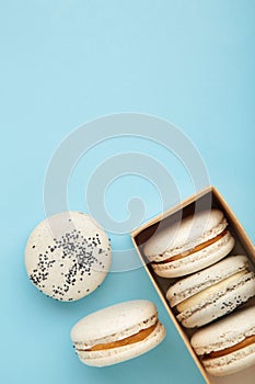 Pastel macaroons in box on blue background. Space for text
