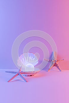 Pastel neon blue and pink light paint on seashell and pearl decorate with star fish
