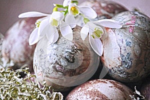 Pastel painted easter eggs.