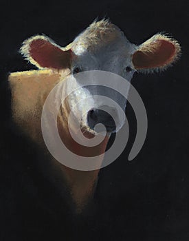 Pastel Painting of Simmental Cow