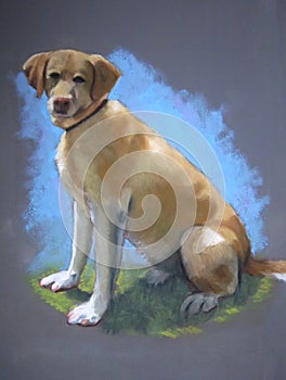 Pastel Painting of Yellow Lab Dog