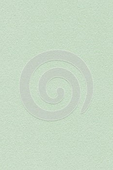 Pastel Paper Pale Kelly Green Coarse Texture Sample