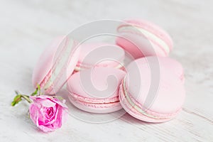 Pastel pink macaroons with rose