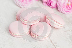 Pastel pink macaroons with rose, selective focus