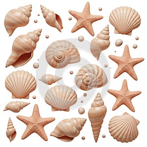 Pastel Pink Seashells and Starfish Collection on White