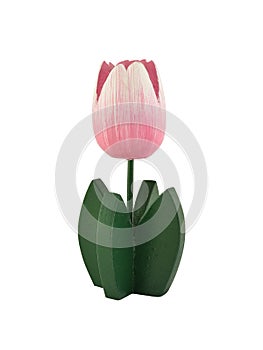 pastel pink tulip with green leaf isolated on white background