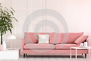 Pastel pink and white vases and coffee mugs on small table in pink living room interior with comfortable sofa