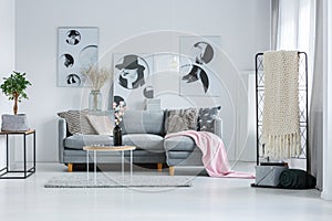 Pastel room with gray sofa