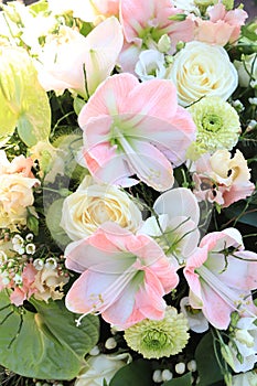 Pastel spring flowers