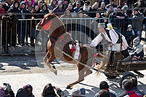 Pastele Cailor Festival