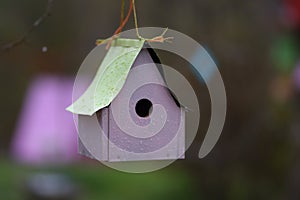 `The Pastels` pink and mint green bird house with pastel bokeh