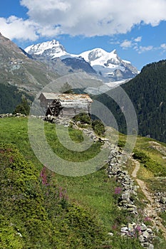 Pastoral alpine landscape