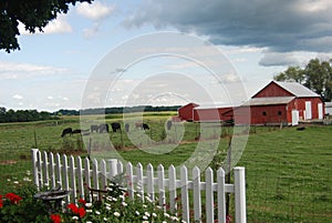 Pastoral farm scene photo