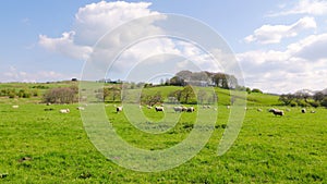 Pastoral farmland scene.