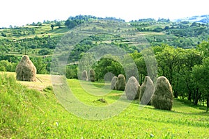 Pastoral landscape (Maramures, Romania) photo