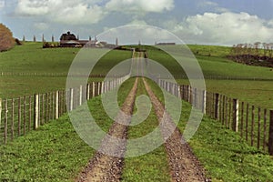 Pastoral landscape of the Waikato, New Zealand