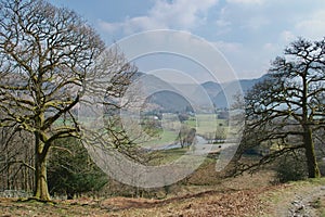 Pastoral mountain river valley, between bare winter trees