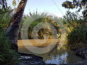 A pastoral place in the Yarkon River near Hod Hasharon in Israel