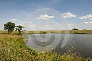 Pastoral pond photo