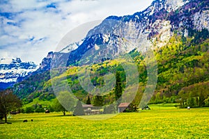 Pastoral rural landscape green valley Alps St Gallen Switzerland