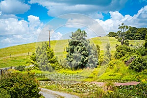 Pastoral rural landscape with overgrown lily pond at the sloped of lush green rolling hills.