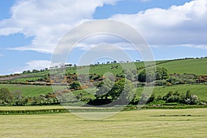 Pastoral scene on the Isle of Bute, Scotland