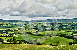 Pastoral scene of lush green English farmland