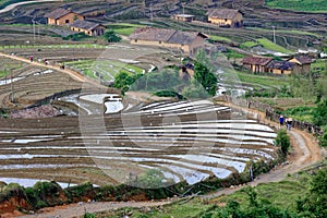 Pastoral scenery