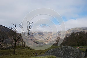 Pastoral valley in spring with clouds obscuring sunlit mountain in distance