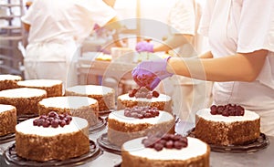 Pastry chef girl makes a cake from fresh biscuit berries and cream. Mass production of cakes and sweets, confectionery