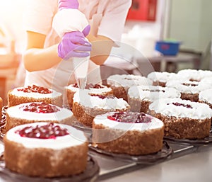 Pastry chef girl makes a cake from fresh biscuit berries and cream. Mass production of cakes and sweets, confectionery, cream cake