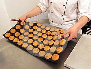 Pastry chef preparing sweets using silicone mold.