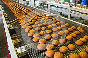 Pastry on conveyor line, food production factory or plant with machinery. Making cookies process