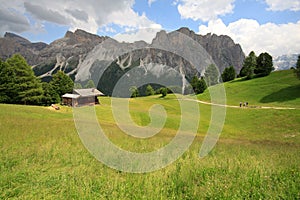 Pasture Alpe di Cisles - Val Gardena