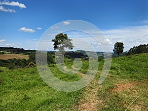 Pasture area in the SÃÂ£o Miguel do Oeste photo