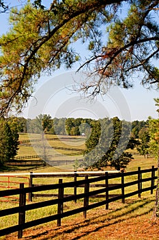 Pasture Fence