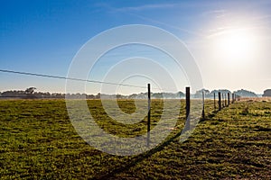 Pasture fence disappearing in the distance.