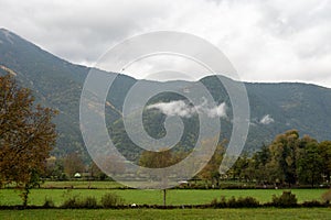 Pasture field for cattle with misty mountains in the background.