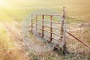 Pasture Gate