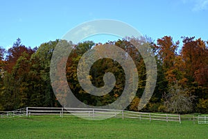 Pasture or grazing land with enclosures for cattle with a deciduous forest in various autumn colors on the background